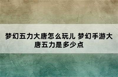 梦幻五力大唐怎么玩儿 梦幻手游大唐五力是多少点